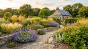 Am�nager un jardin sobre en eau et r�silient face � la s�cheresse