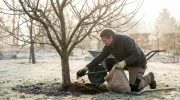 Vos arbres fruitiers pr�parent d�j� le printemps : pourquoi l'amendement organique pos� en janvier garantit une bonne r�colte
