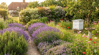 Comment attirer et prot�ger les abeilles : 4 gestes essentiels pour votre jardin