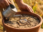 Chaleur et terreau sec : comment r�hydrater une terre devenue imperm�able