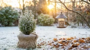 Jardin en d�cembre : les derniers gestes vitaux avant l'hiver (et comment aider les oiseaux)