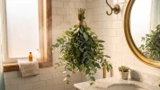 Eucalyptus sous la douche : l'astuce bien-�tre qui va changer vos matins