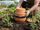 Fabriquer ses ollas maison : la m�thode simple pour un jardin autonome en eau