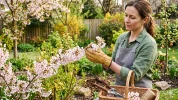 Forsythias et prunus : taillez vos arbustes de printemps d�s la fin de la floraison