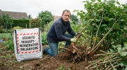 Jardin : attention, la loi a chang� l'�t� dernier, ces plantes sont d�sormais strictement interdites en 2026