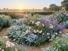 Tendance kusumi 2026 : am�nager un massif argent� et rose poudr� pour un ext�rieur relaxant