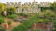 Jardinage 2026 : les nouvelles habitudes � prendre d�s maintenant pour un ext�rieur r�silient et florissant sans s'�puiser