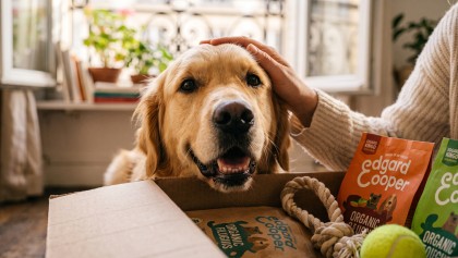 Meilleures animaleries en ligne : notre s�lection de boutiques pour votre chien ou votre chat