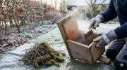 Nettoyage des nichoirs en hiver : le geste indispensable maintenant pour prot�ger les futures nich�es au jardin