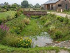 Noue paysag�re : la solution esth�tique et �cologique pour g�rer l'eau de pluie