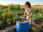 Purin de banane : l'astuce naturelle riche en potassium qui r�veille votre potager