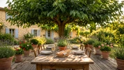 Quels arbres choisir pour faire de l'ombre � une terrasse ?