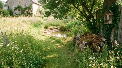 R�ensauvager son jardin : comment cr�er un v�ritable refuge pour la biodiversit�