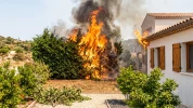 Risque d'incendie : les plantes du jardin qui favorisent la propagation du feu