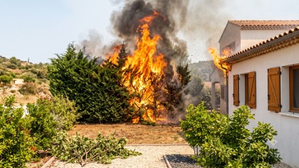 Risque d'incendie : les plantes du jardin qui favorisent la propagation du feu