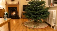 Votre sapin de No�l perd d�j� ses �pines ? Voici l'erreur fatale que tout le monde fait et l'astuce simple pour le garder vert jusqu'au jour J