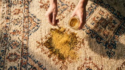 Terre de Sommi�res : l'alternative naturelle contre les taches grasses et les punaises de lit