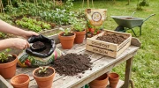Terreau, compost ou terre v�g�tale : voici enfin la m�thode simple pour ne plus jamais vous tromper en jardinerie