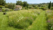 Tondeuse et biodiversit� : pourquoi adopter la tonte diff�renci�e dans votre jardin