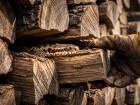 Vip�res dans le bois de chauffage : les bons r�flexes pour �viter la morsure