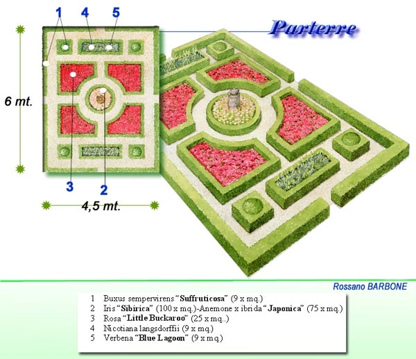 Un parterre " la franaise"
