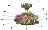 Un parterre rond de vivaces