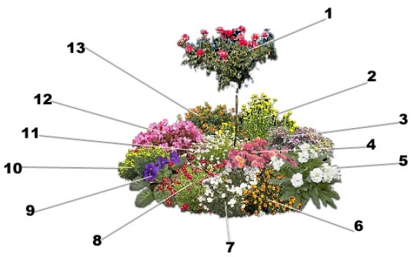 Un parterre rond de vivaces