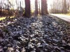 Les feuilles mortes se ramassent à la pelle Les feuilles mortes se ramassent à la pelle