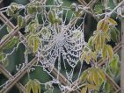 Concours photo "Magie du givre" par Patiences
