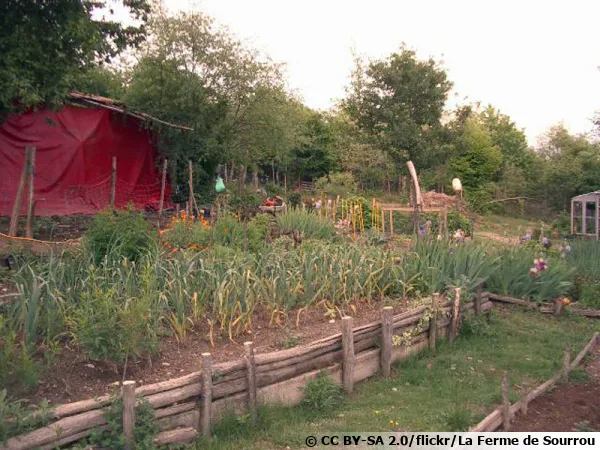 Baissières incorporées dans les chemins du potager