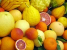 Les agrumes, une vaste famille