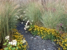 Des plantes pour souligner une alle