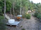 Pour une apiculture durable