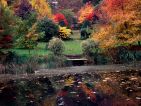 Vue de l'Arboretum de la Sédelle Vue de l'Arboretum de la Sédelle