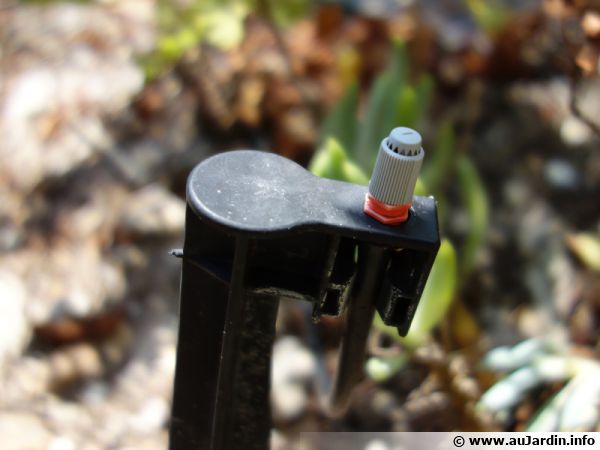 Un micro-aspergeur en micro-irrigation permet de cibler la ou les plantes à arroser