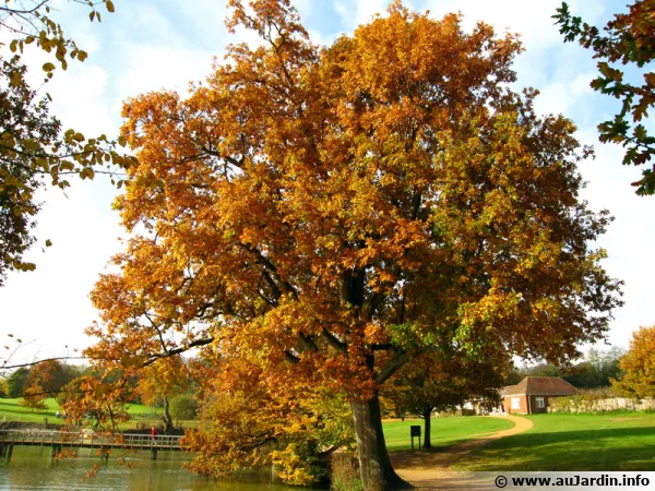 Le blues de l'automne !
