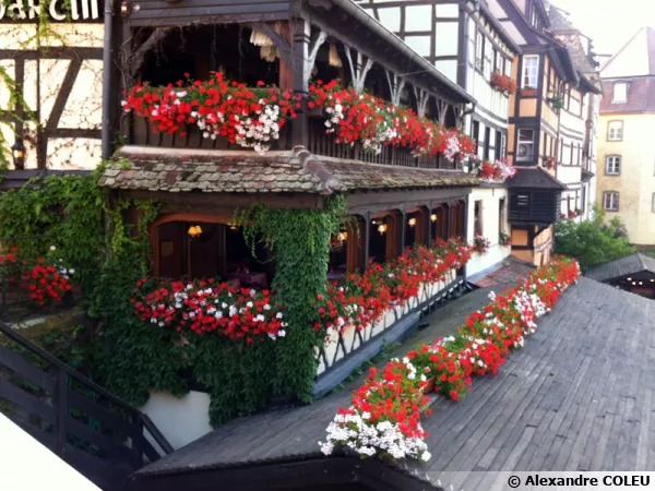 Balcons fleuris  Strasbourg