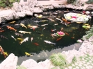 Raliser un bassin de jardin en rsine polyester