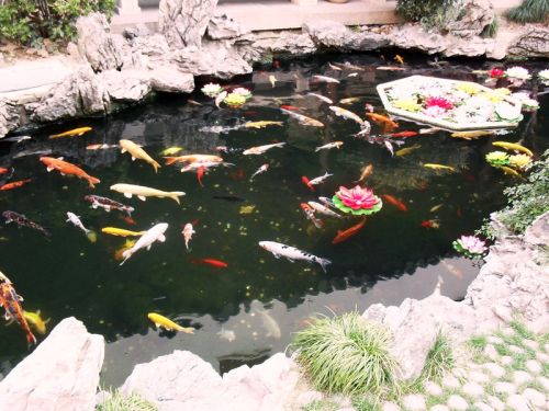 HOTBEST Doublure d'étang Peaux de bassin à poissons en caoutchouc solide  Doublures préformées pour piscine de jardin d'eau Étangs à poissons  Membrane Aménagement paysager Fontaines Cascades Noir 