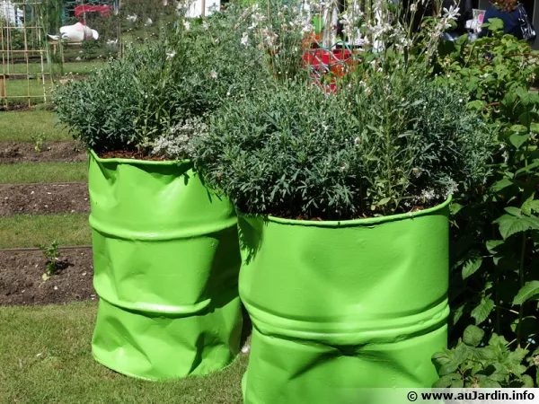 Des bidons recyclés et décorés pour la plantation