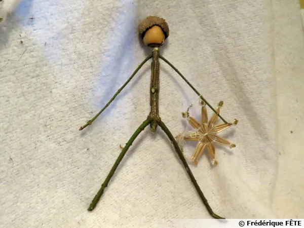 Une branche de fusain,  la ramification si propice...