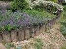 Les bordures de jardin