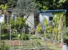 Les jardins ouvriers route d'Arles  Nmes