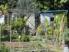 Les cabanons des jardins ouvriers sur la route de Arles à Nîmes, photo 1 Les cabanons des jardins ouvriers sur la route de Arles à Nîmes, photo 1