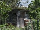 Les cabanons des jardins ouvriers sur la route de Arles à Nîmes, photo 15 Les cabanons des jardins ouvriers sur la route de Arles à Nîmes, photo 15