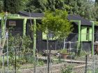 Les cabanons des jardins ouvriers sur la route de Arles à Nîmes, photo 16 Les cabanons des jardins ouvriers sur la route de Arles à Nîmes, photo 16