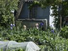 Les cabanons des jardins ouvriers sur la route de Arles à Nîmes, photo 2 Les cabanons des jardins ouvriers sur la route de Arles à Nîmes, photo 2