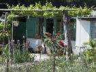 Les cabanons des jardins ouvriers sur la route de Arles à Nîmes, photo 4 Les cabanons des jardins ouvriers sur la route de Arles à Nîmes, photo 4