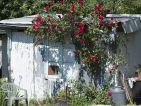 Les cabanons des jardins ouvriers sur la route de Arles à Nîmes, photo 6 Les cabanons des jardins ouvriers sur la route de Arles à Nîmes, photo 6