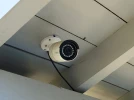 Des cam�ras pour surveiller le jardin et la maison